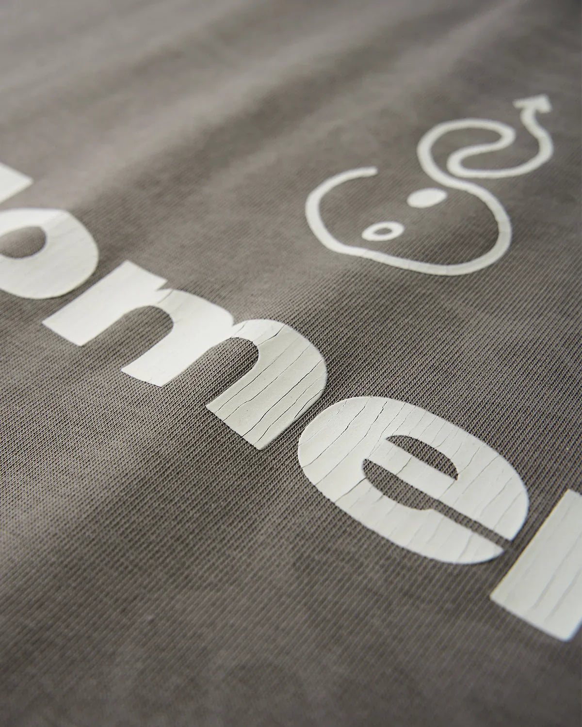 Dual-Effect Graphic Heavyweight Tshirt