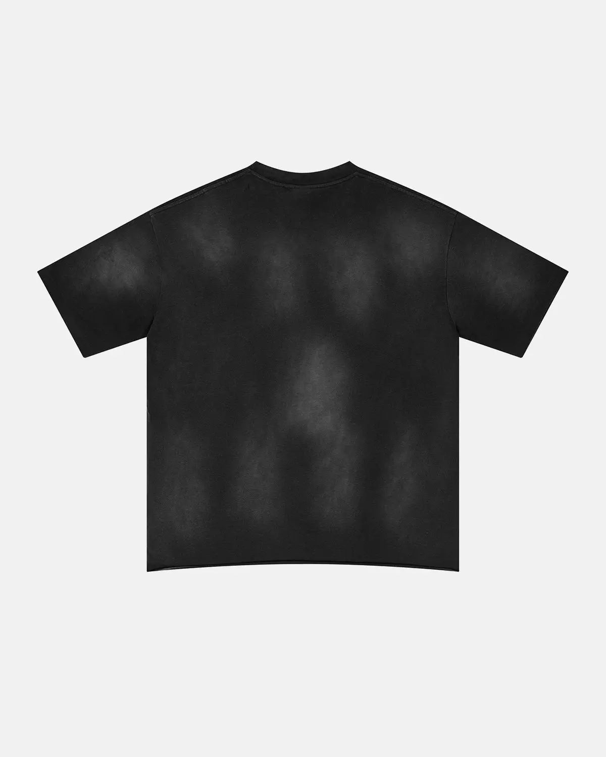 Distressed Washed Graphic T-Shirt