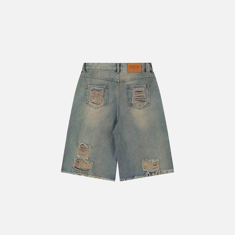 Washed Distressed Jorts