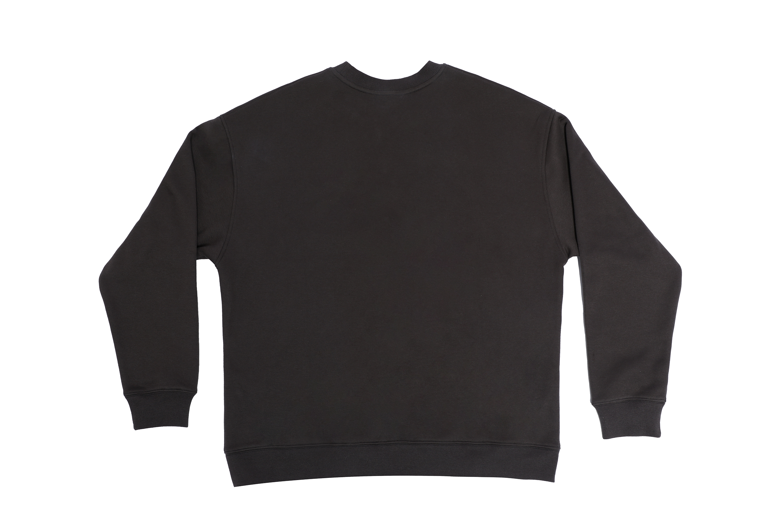 Graphic Print Heavyweight Sweatshirt