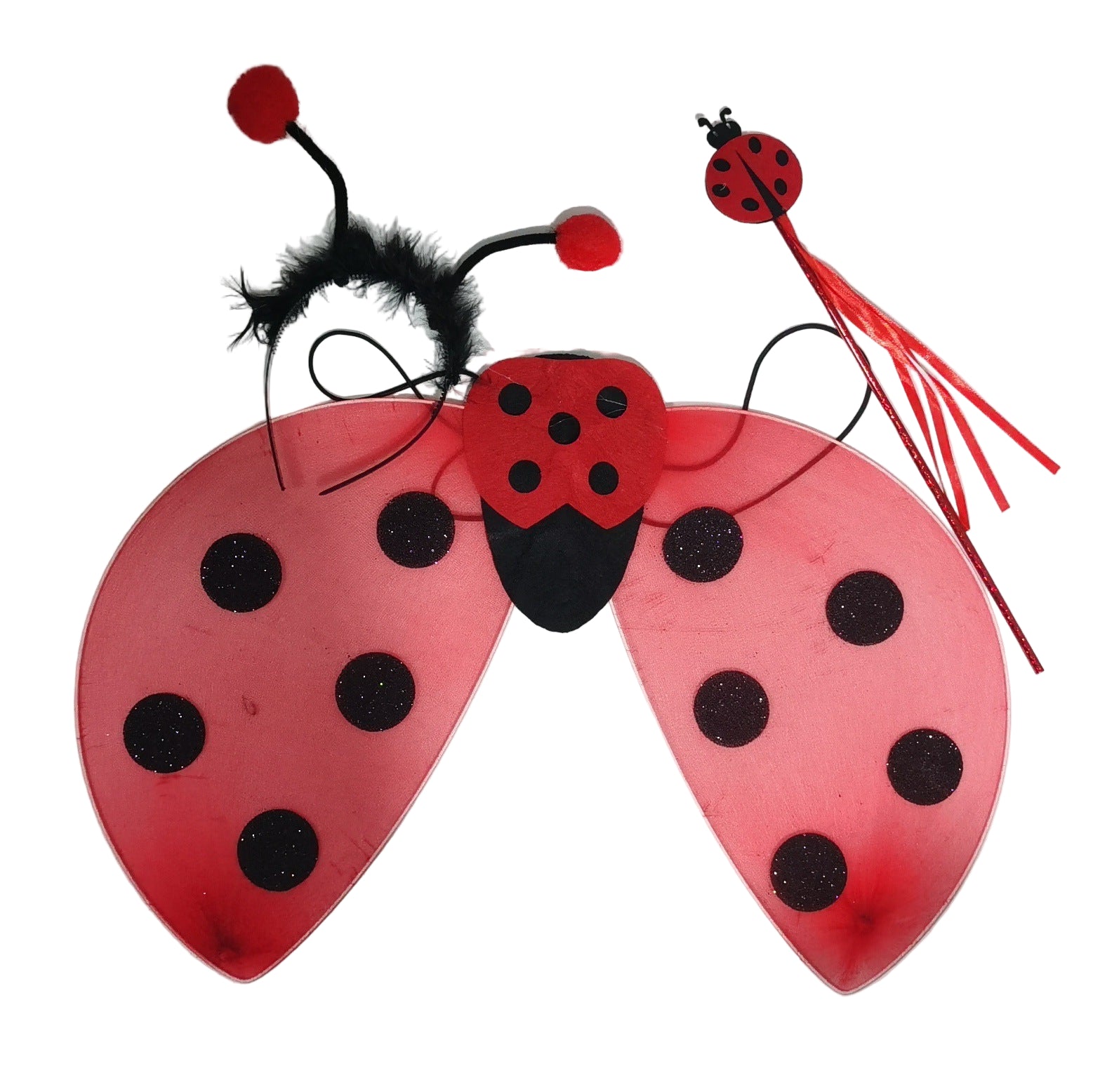Halloween Ladybug Costume Wings