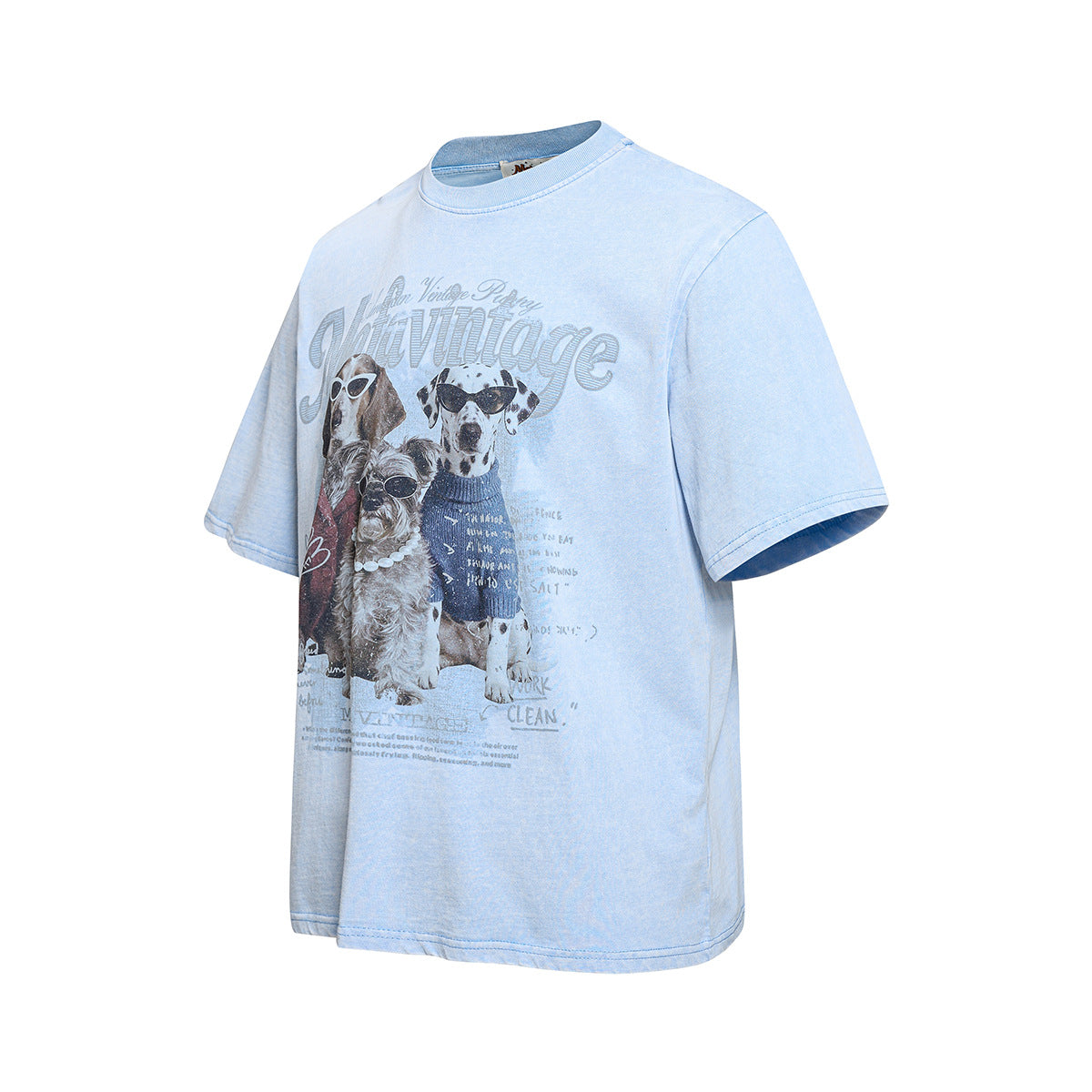 Washed Dog Graphic Cotton Oversize Short Sleeve T-Shirt