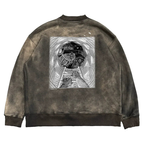 Sweat-shirt épais délavé à imprimé graffiti pigeon - Brun / M