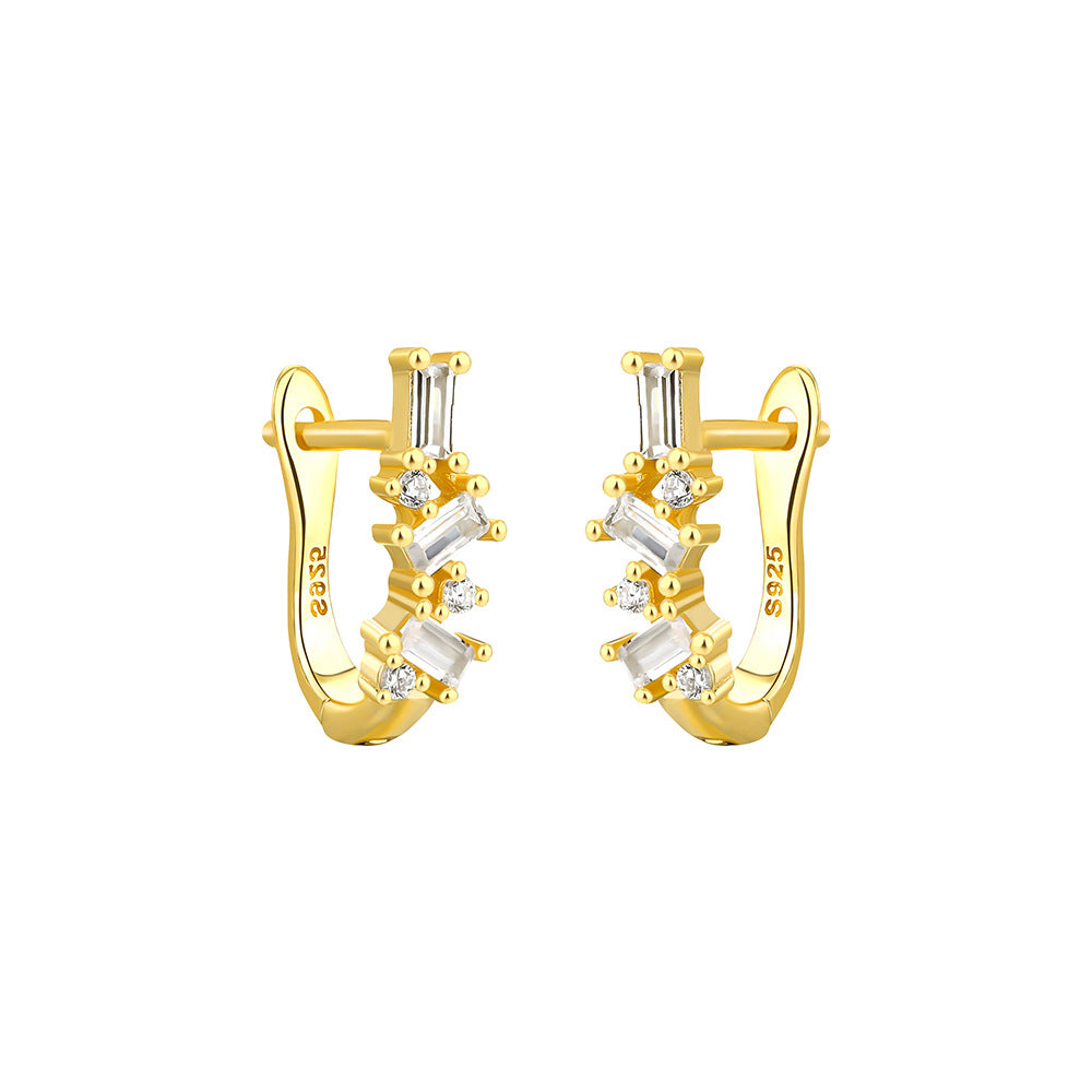 Irregular Micro Inlaid Zircon Earrings