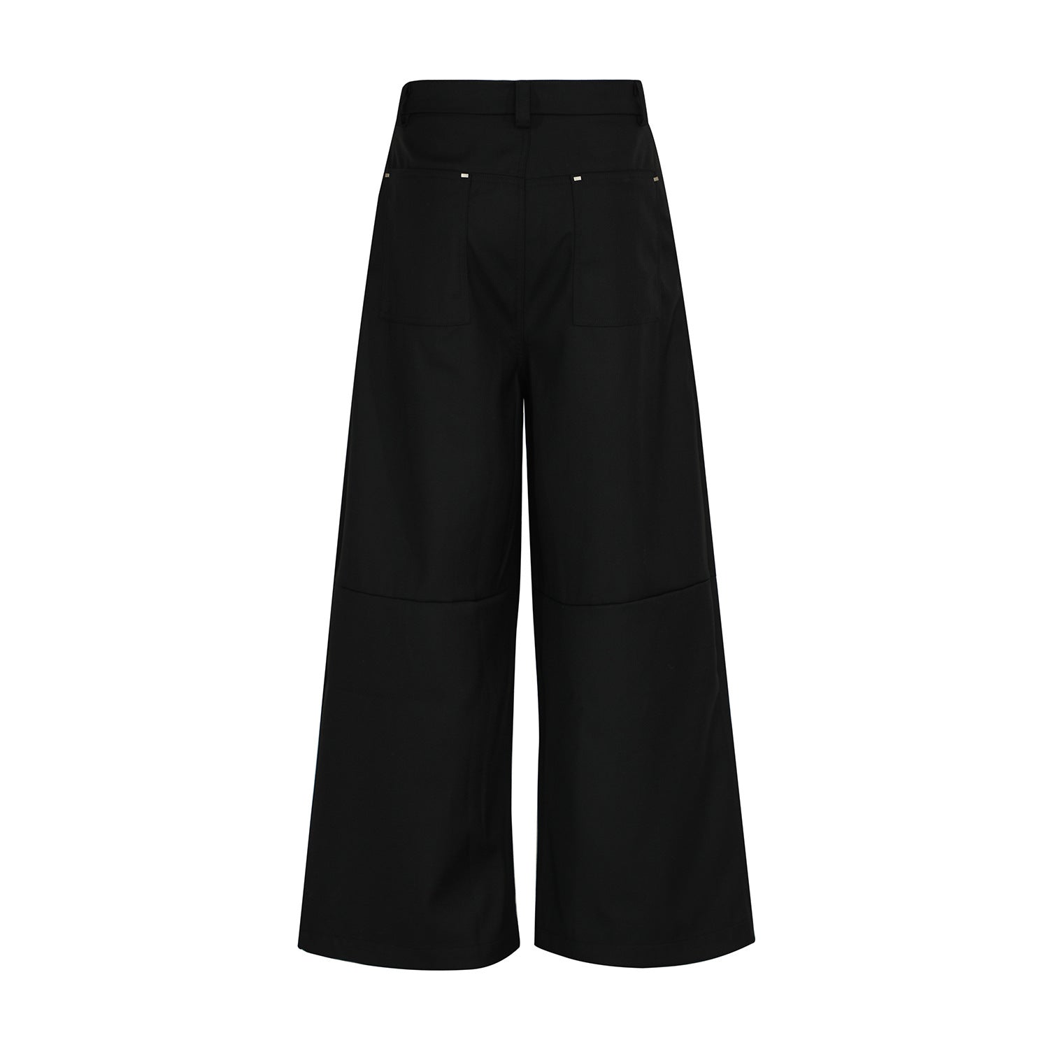 Metal Buckle Pleats Wide Leg Pants