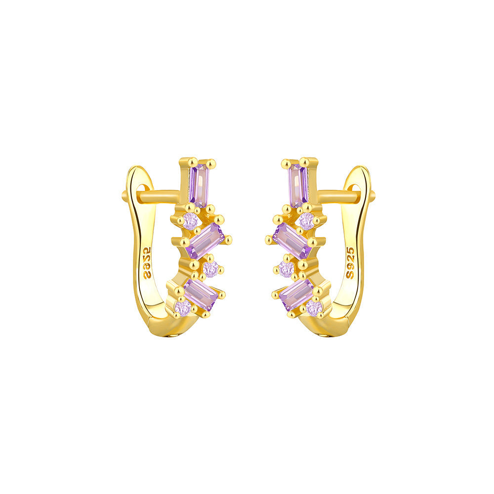 Irregular Micro Inlaid Zircon Earrings