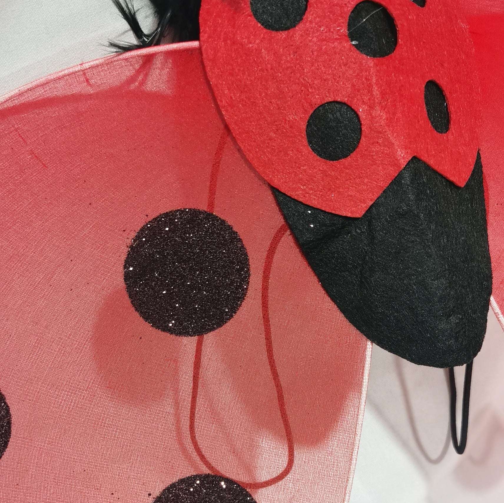 Halloween Ladybug Costume Wings