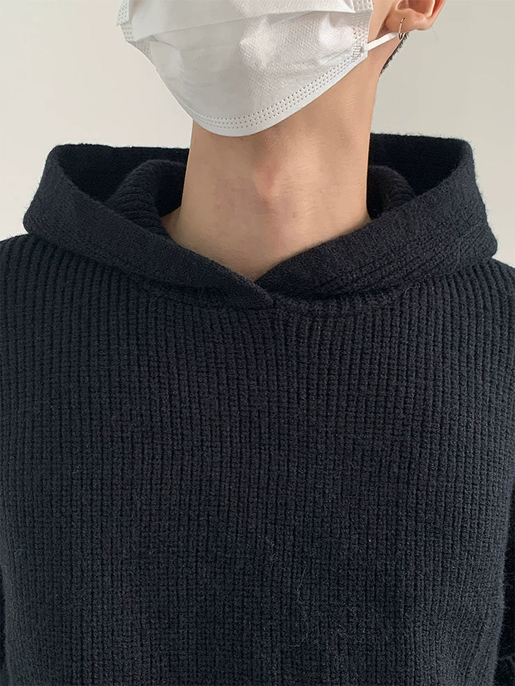Hooded Wool Blend Pullover Knit Sweater