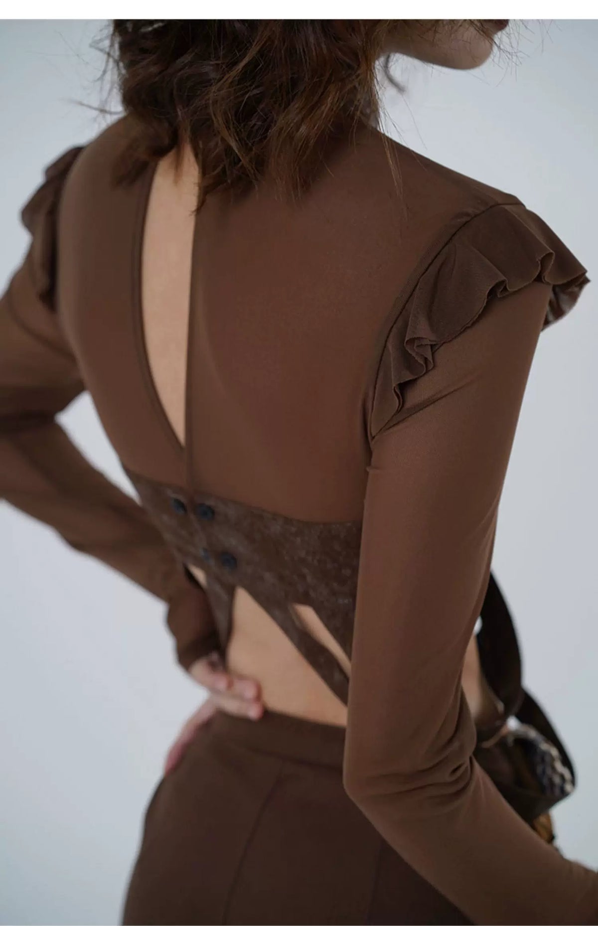 Sheer Mesh Ruffle Cropped Blouse
