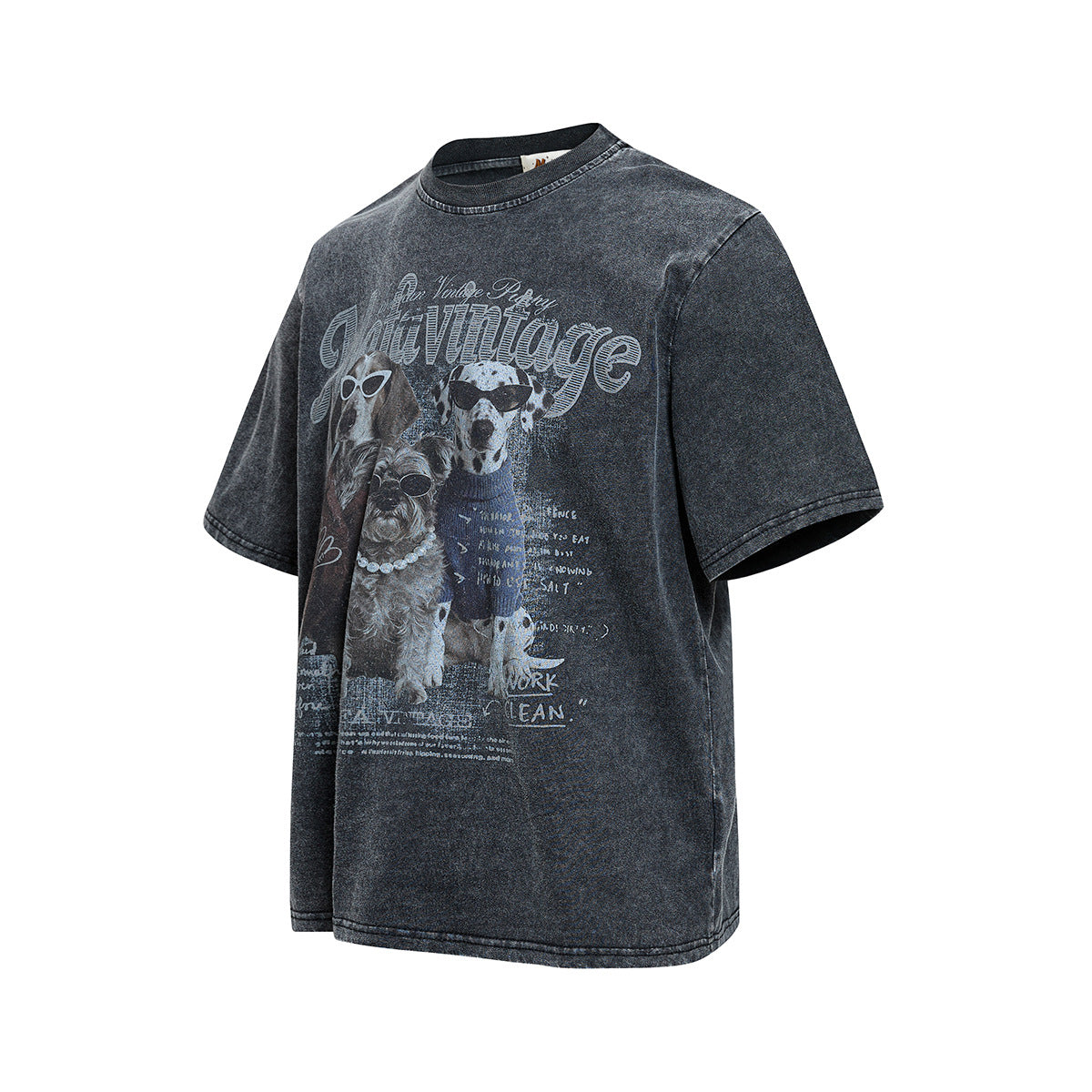 Washed Dog Graphic Cotton Oversize Short Sleeve T-Shirt