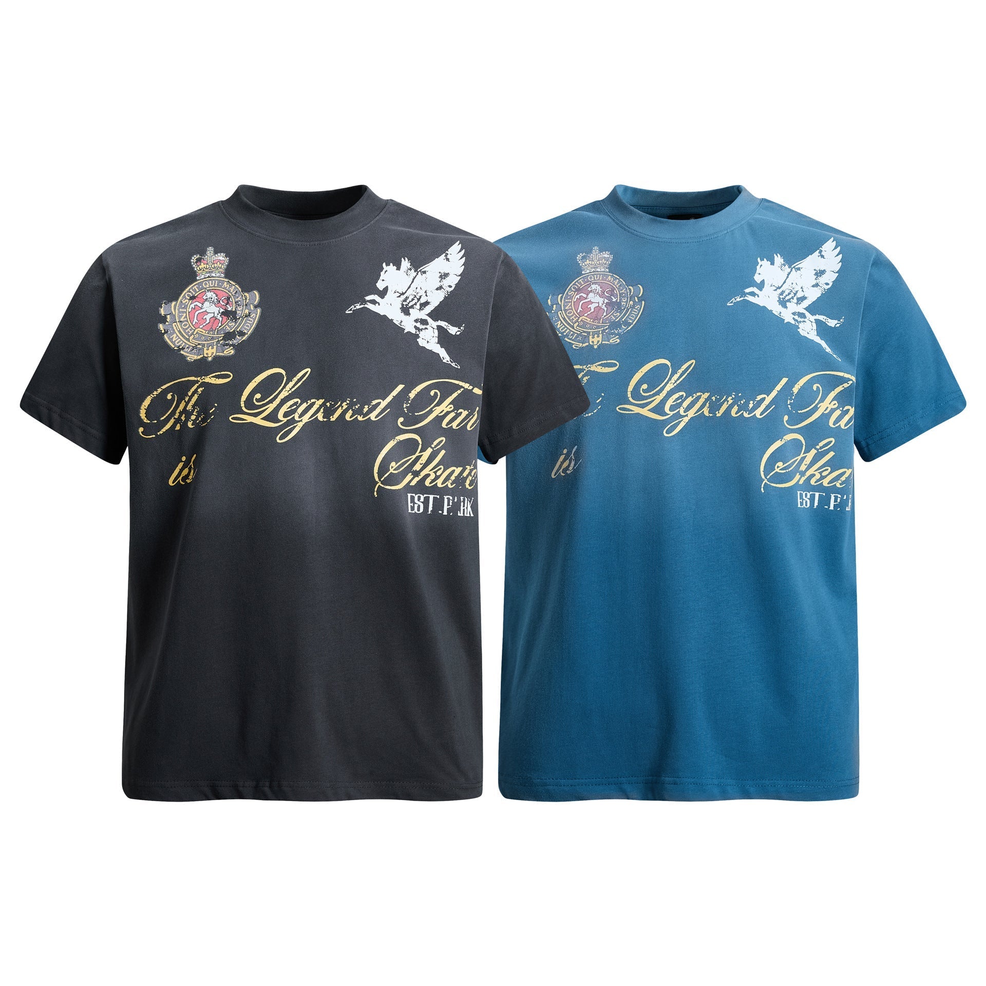 Washed Damage Badge Short Sleeve T-Shirt