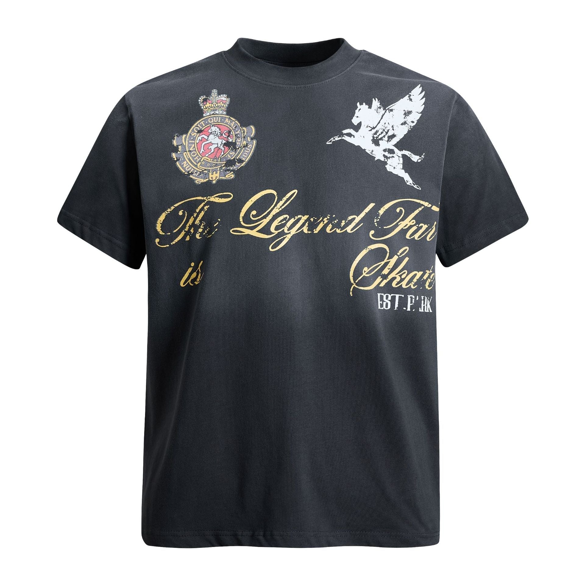 Washed Damage Badge Short Sleeve T-Shirt