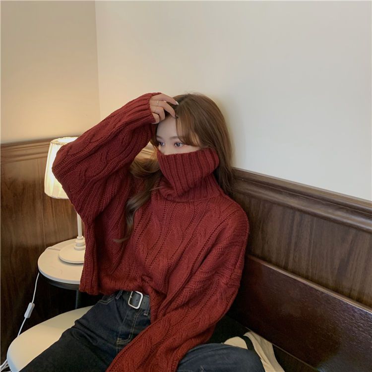 Turtleneck Patterned Sweater