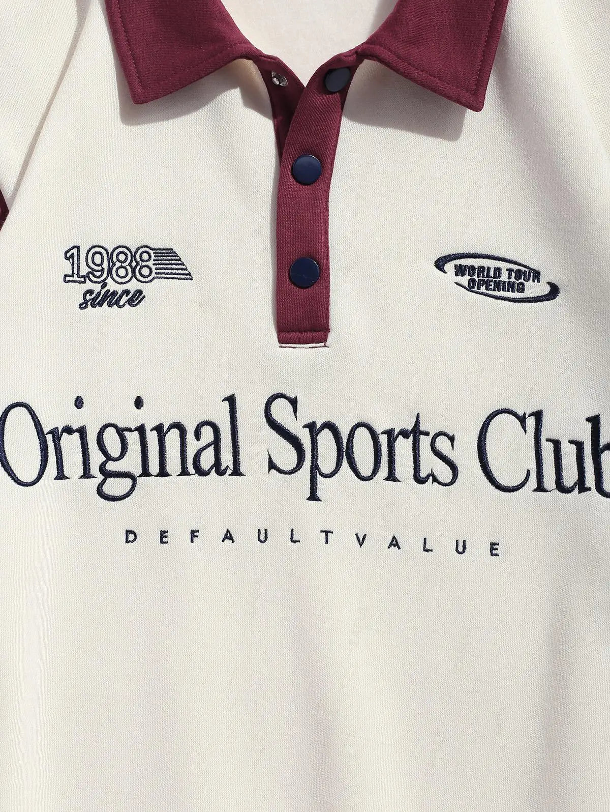 Colorblock Graphic Fleece Lined Polo Sweatshirt