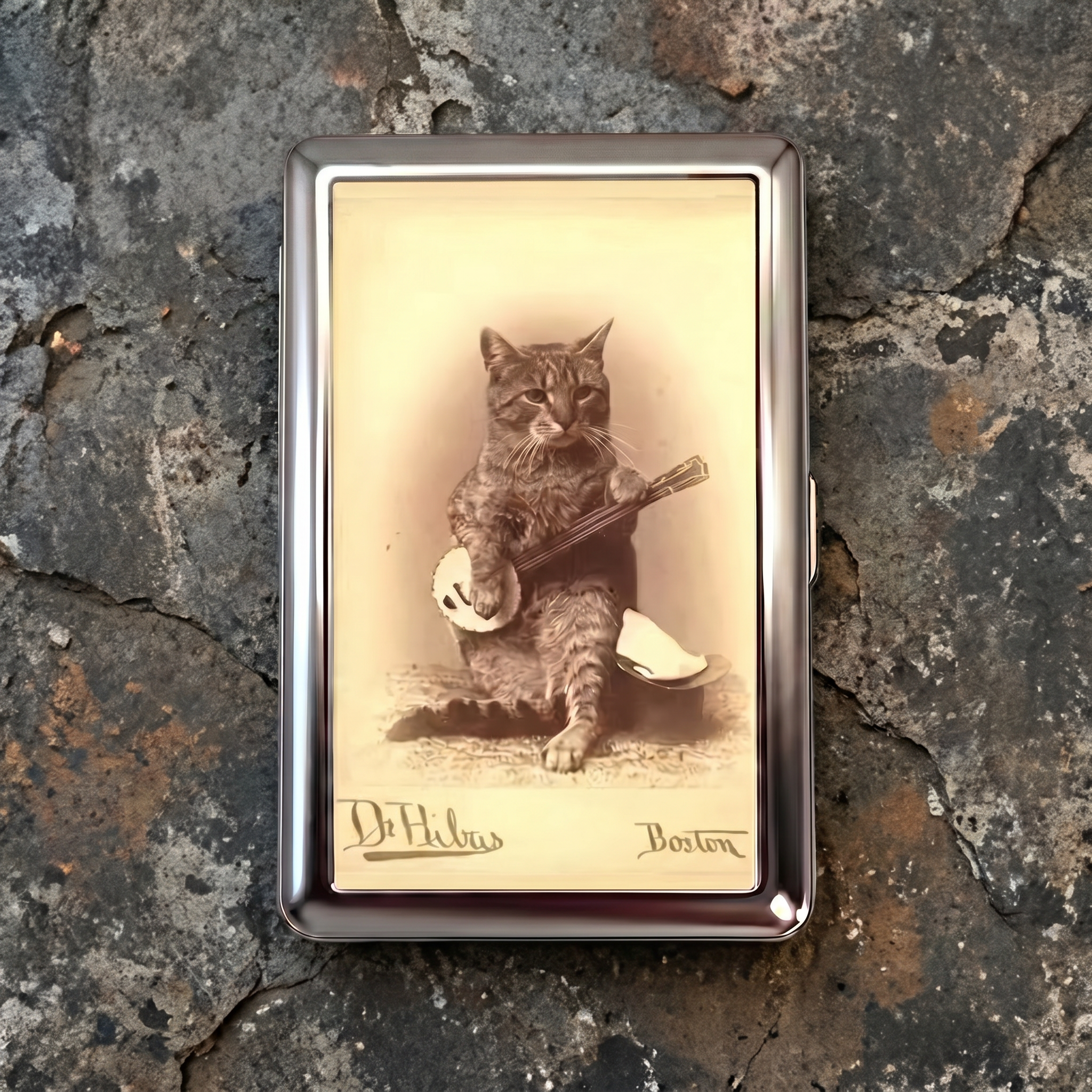 Banjo Cat Card case